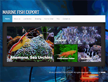 Tablet Screenshot of marinefishexport.com